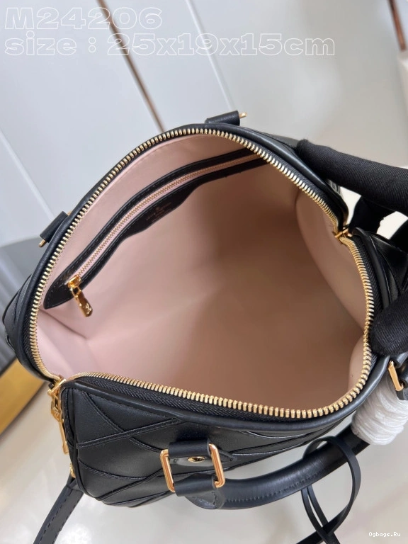 25 Vuitton SPEEDY Louis 0324